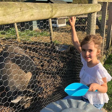 Willow Court Farm Studio South & Petting Farm, 8 Mins From Legoland & Windsor, 15 Mins From Lapland Uk מראה חיצוני תמונה