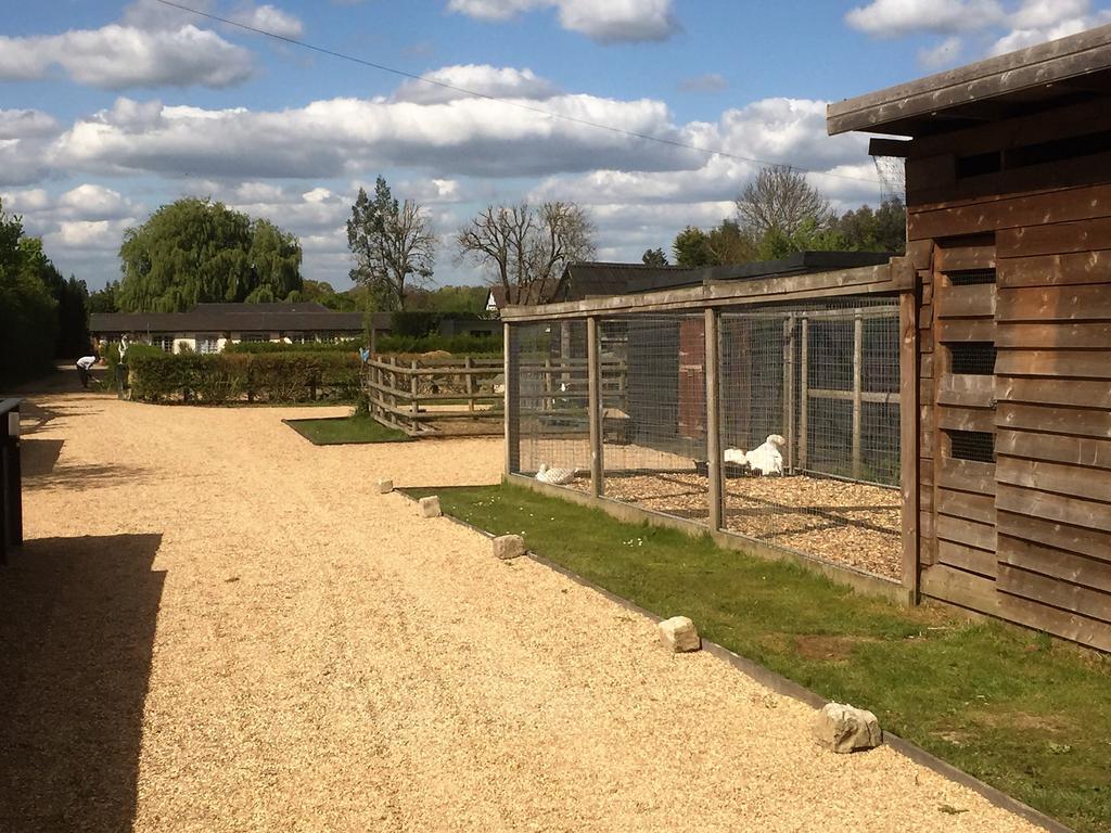 Willow Court Farm Studio South & Petting Farm, 8 Mins From Legoland & Windsor, 15 Mins From Lapland Uk מראה חיצוני תמונה