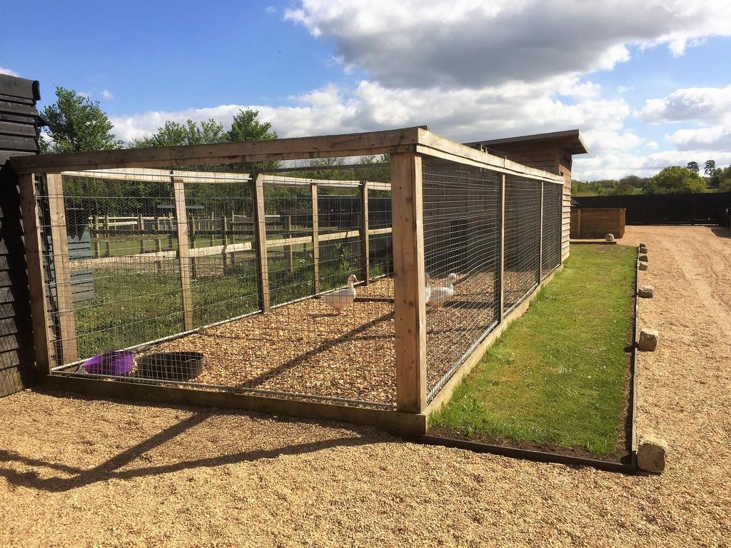 Willow Court Farm Studio South & Petting Farm, 8 Mins From Legoland & Windsor, 15 Mins From Lapland Uk מראה חיצוני תמונה