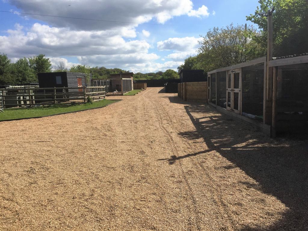 Willow Court Farm Studio South & Petting Farm, 8 Mins From Legoland & Windsor, 15 Mins From Lapland Uk מראה חיצוני תמונה