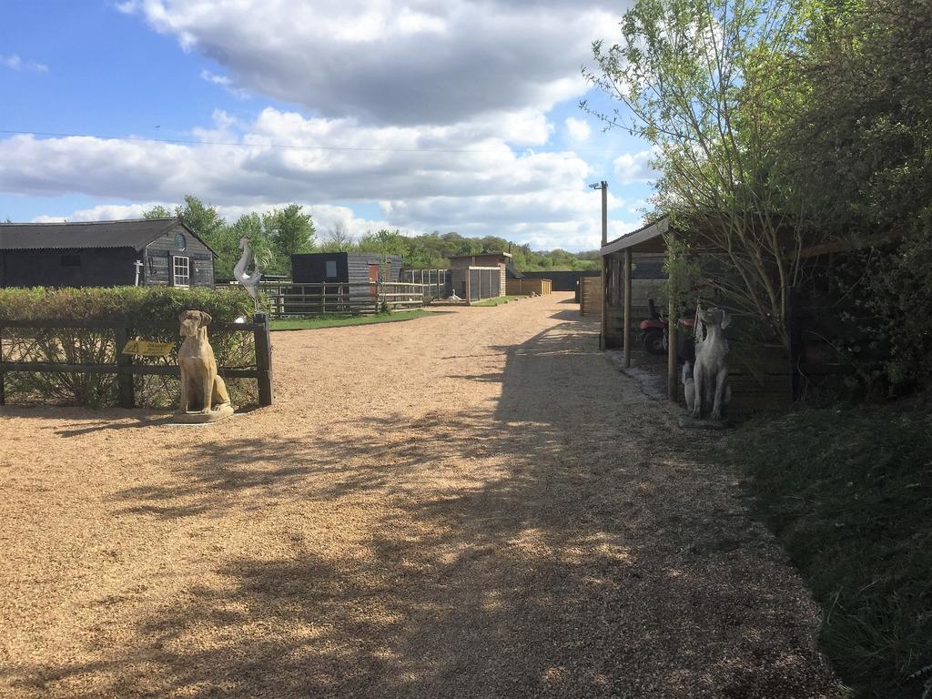 Willow Court Farm Studio South & Petting Farm, 8 Mins From Legoland & Windsor, 15 Mins From Lapland Uk מראה חיצוני תמונה