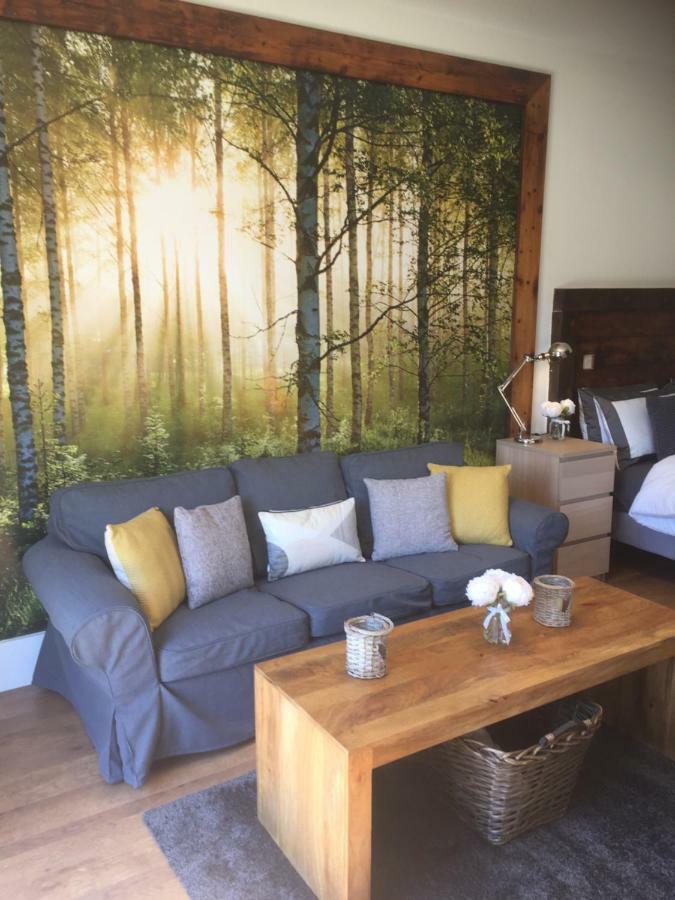 Willow Court Farm Studio South & Petting Farm, 8 Mins From Legoland & Windsor, 15 Mins From Lapland Uk מראה חיצוני תמונה
