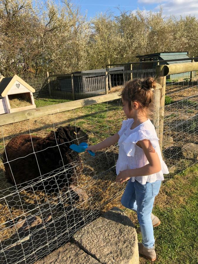 Willow Court Farm Studio South & Petting Farm, 8 Mins From Legoland & Windsor, 15 Mins From Lapland Uk מראה חיצוני תמונה
