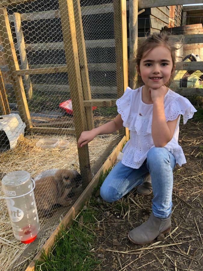 Willow Court Farm Studio South & Petting Farm, 8 Mins From Legoland & Windsor, 15 Mins From Lapland Uk מראה חיצוני תמונה