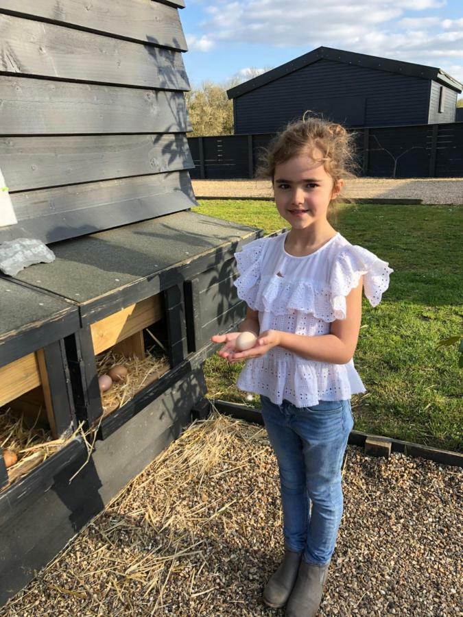 Willow Court Farm Studio South & Petting Farm, 8 Mins From Legoland & Windsor, 15 Mins From Lapland Uk מראה חיצוני תמונה