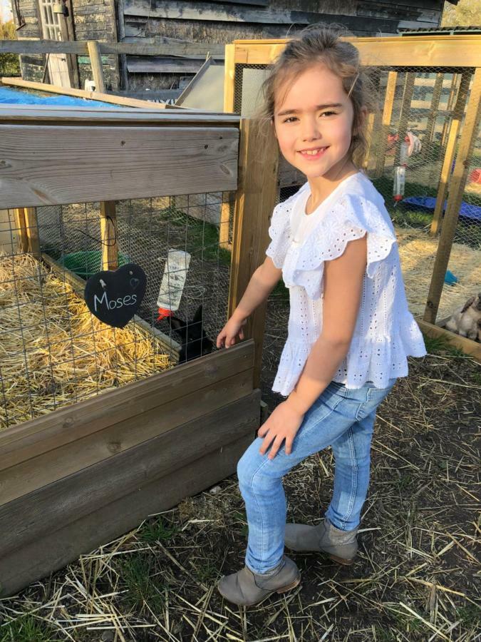 Willow Court Farm Studio South & Petting Farm, 8 Mins From Legoland & Windsor, 15 Mins From Lapland Uk מראה חיצוני תמונה