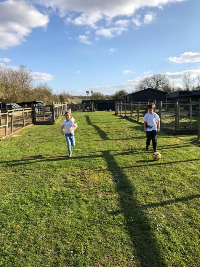 Willow Court Farm Studio South & Petting Farm, 8 Mins From Legoland & Windsor, 15 Mins From Lapland Uk מראה חיצוני תמונה